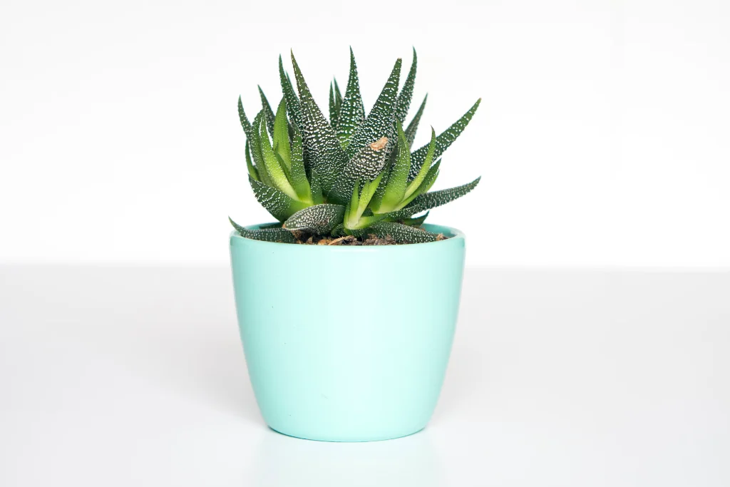 Hospital Management System